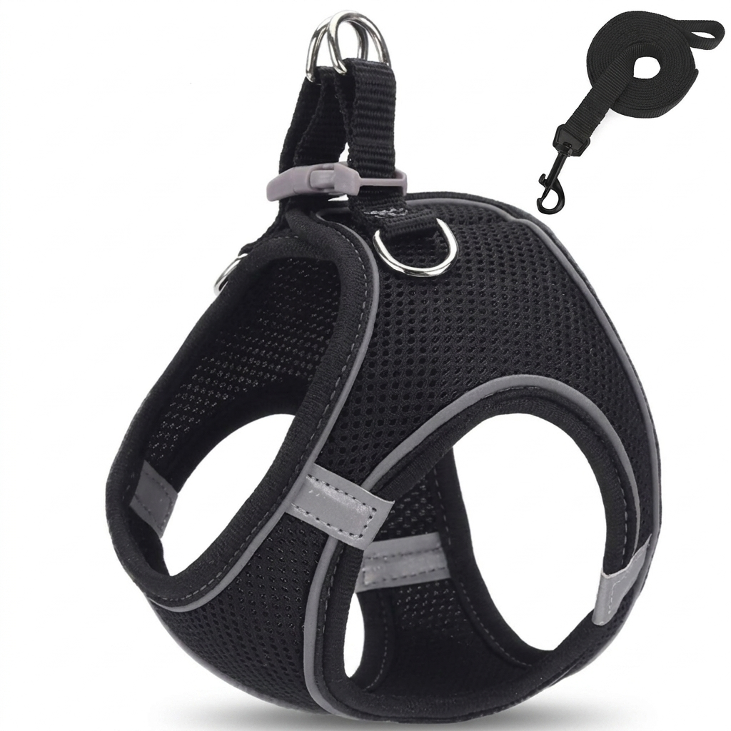Halo cat harness - Black