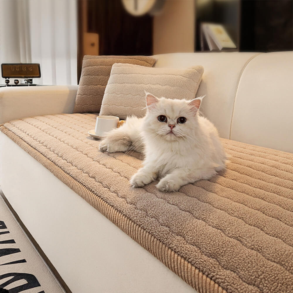 Fluffy white cat lounging on the Dune plush sherpa-fleece sofa cover