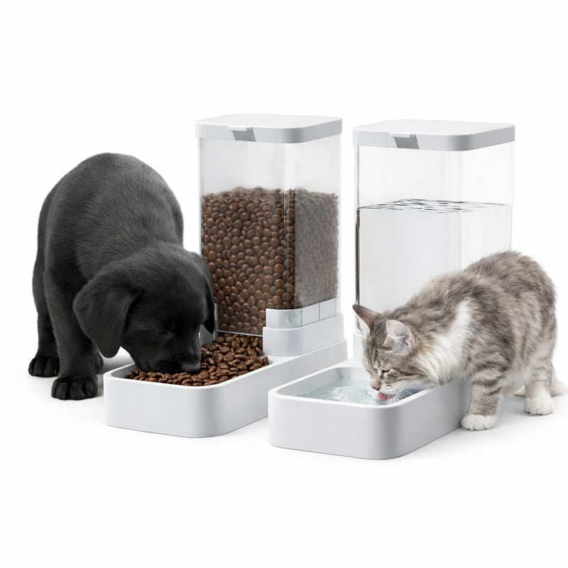 Mealtime Collection
