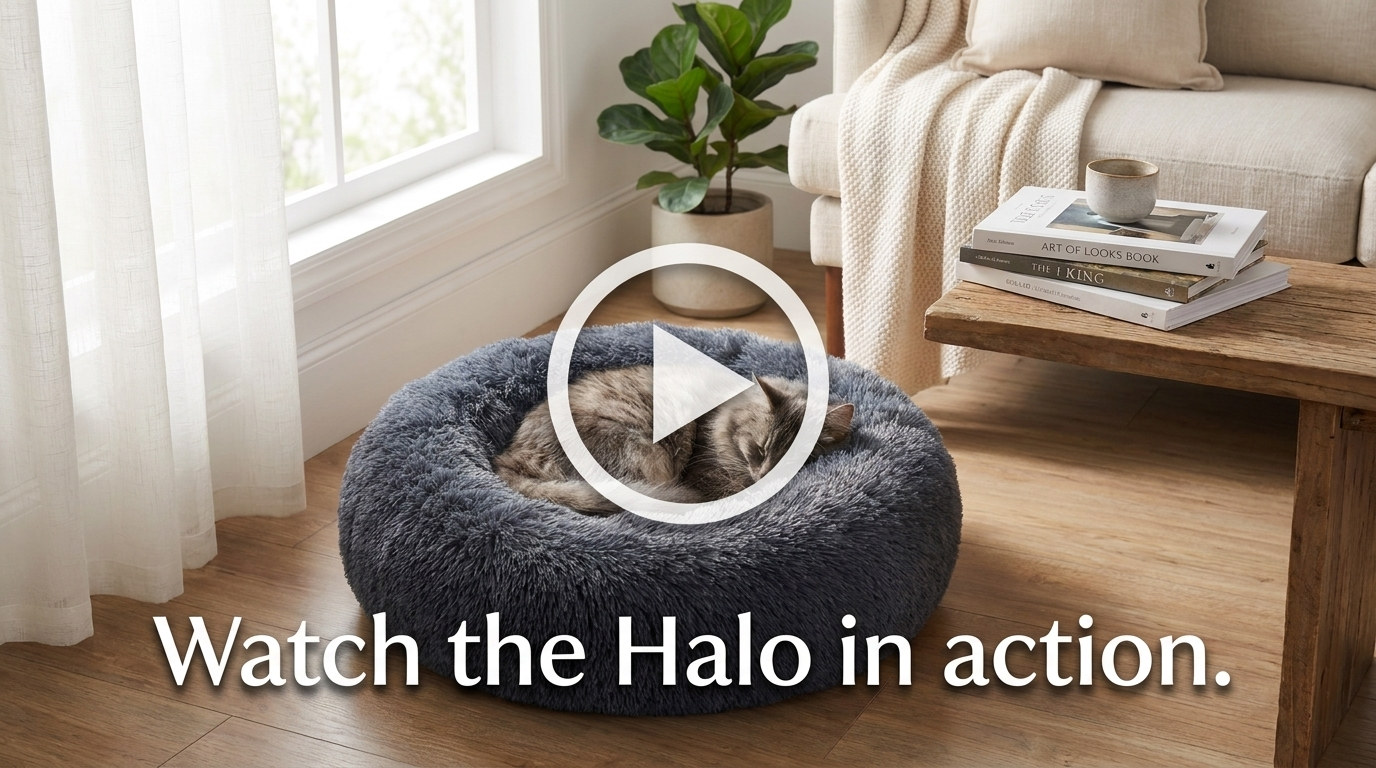 Watch the Halo calming cat bed in action video cover