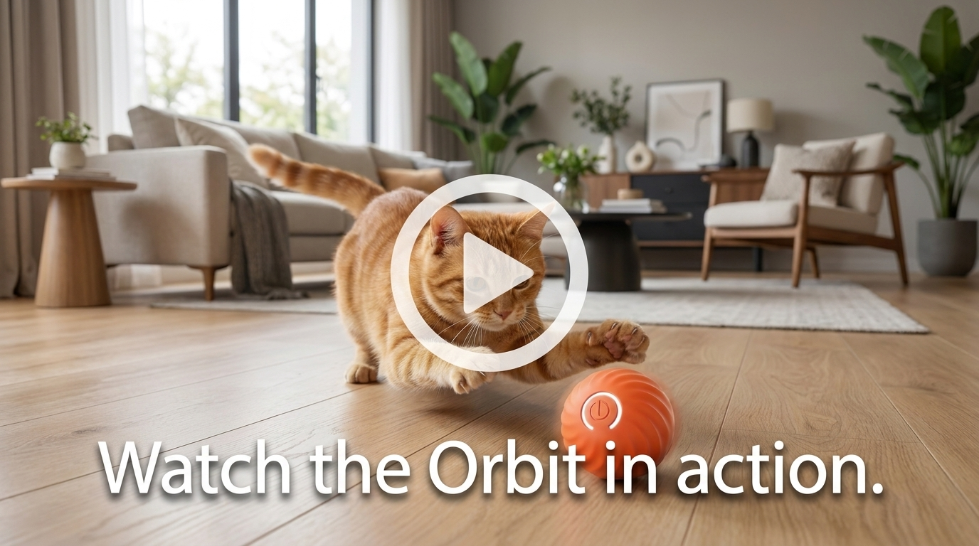 Watch the Orbit smart moving cat ball in action video cover