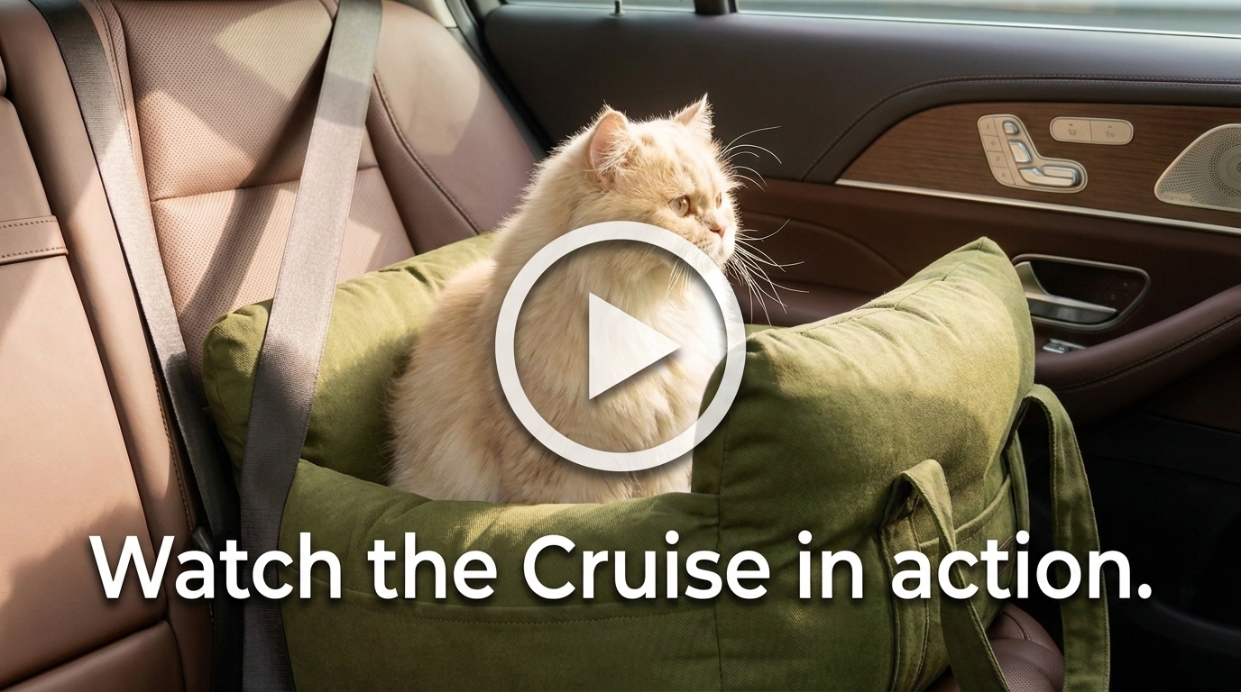Play button over a cat in the Cruise car seat bed — watch the video