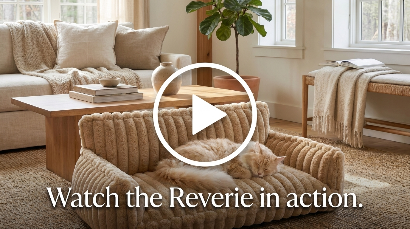 Reverie orthopedic cat sofa bed video cover