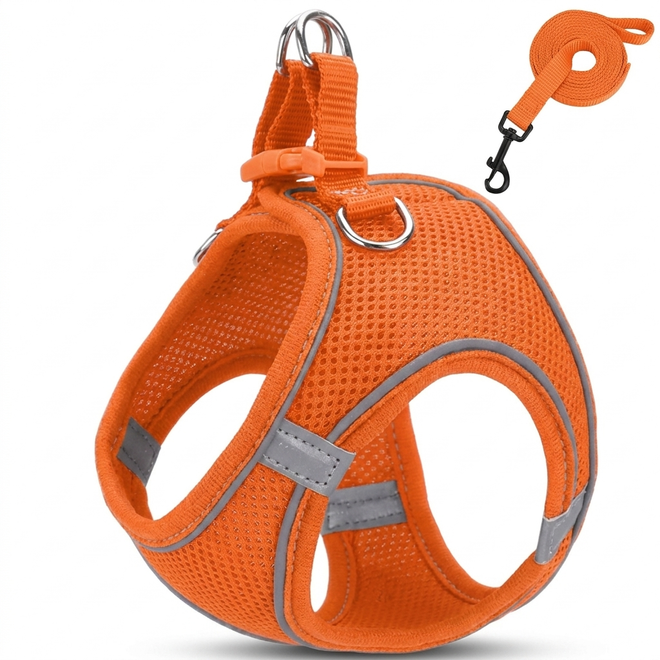 Halo cat harness - Orange