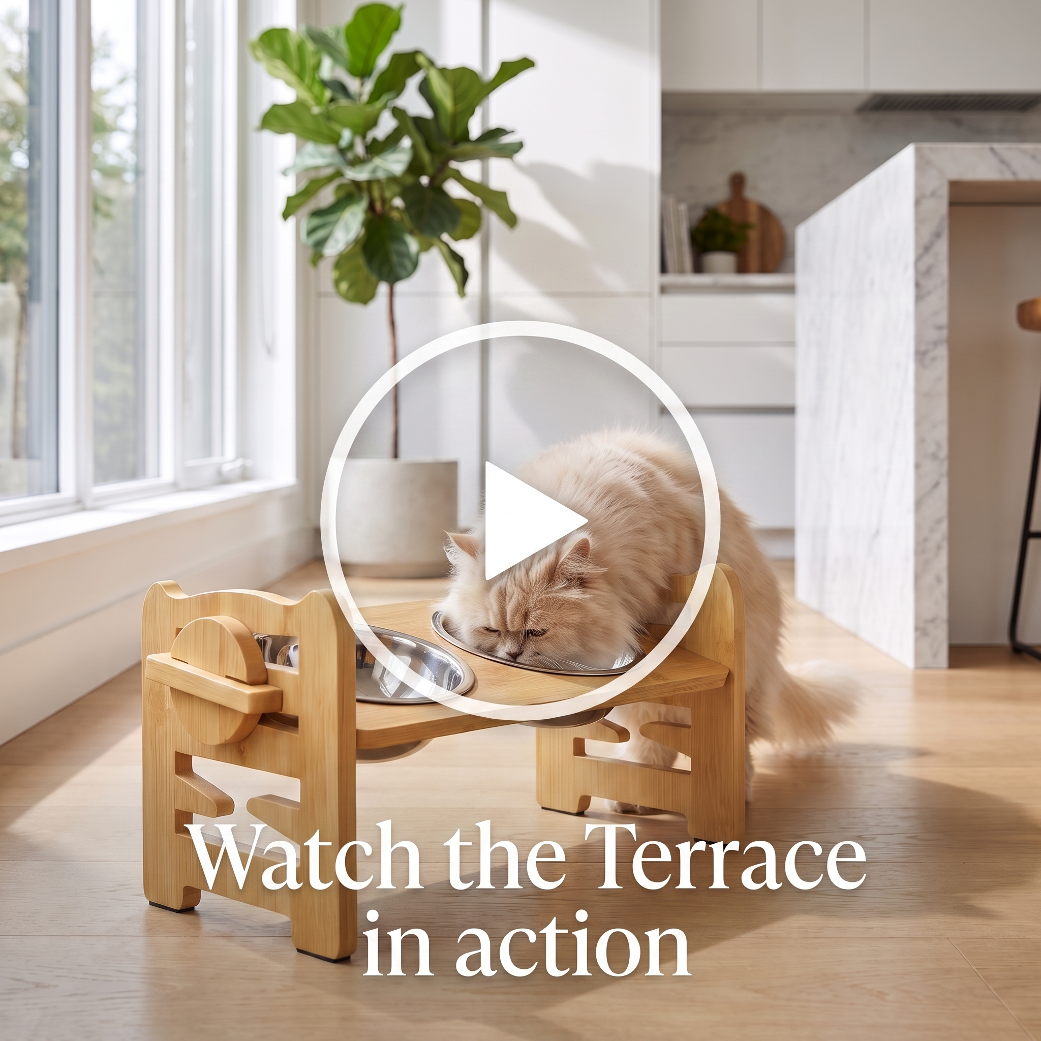 Watch the Purrela Terrace bamboo cat feeder in action