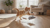 Cat pouncing on and playing with a Scurry squeaky mouse cat toy