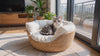 Purrela Hazel woven cat bed video
