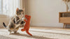 Cat playing with the Rex Dino plush cat toy