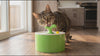 Cat drinking from the Springwell cat water fountain