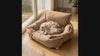 Cat settling into the Drift tufted cat sofa bed