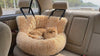 Cat riding calmly in the apricot Rove plush cat car-seat bed