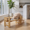 Purrela Terrace elevated cat feeder video