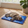 Purrela Glacier cooling cat mat video