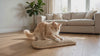 Purrela Sprig catnip scratch pad video