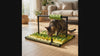 Graze interactive cat snuffle mat video