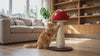 Purrela Toadstool cat scratching post video