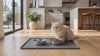 Purrela Mesa cat feeding mat video