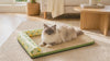 PV-Zest