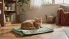 Cat settling onto the Clover quilted cat mat in a cozy room
